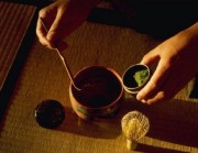 Healing with Herbs